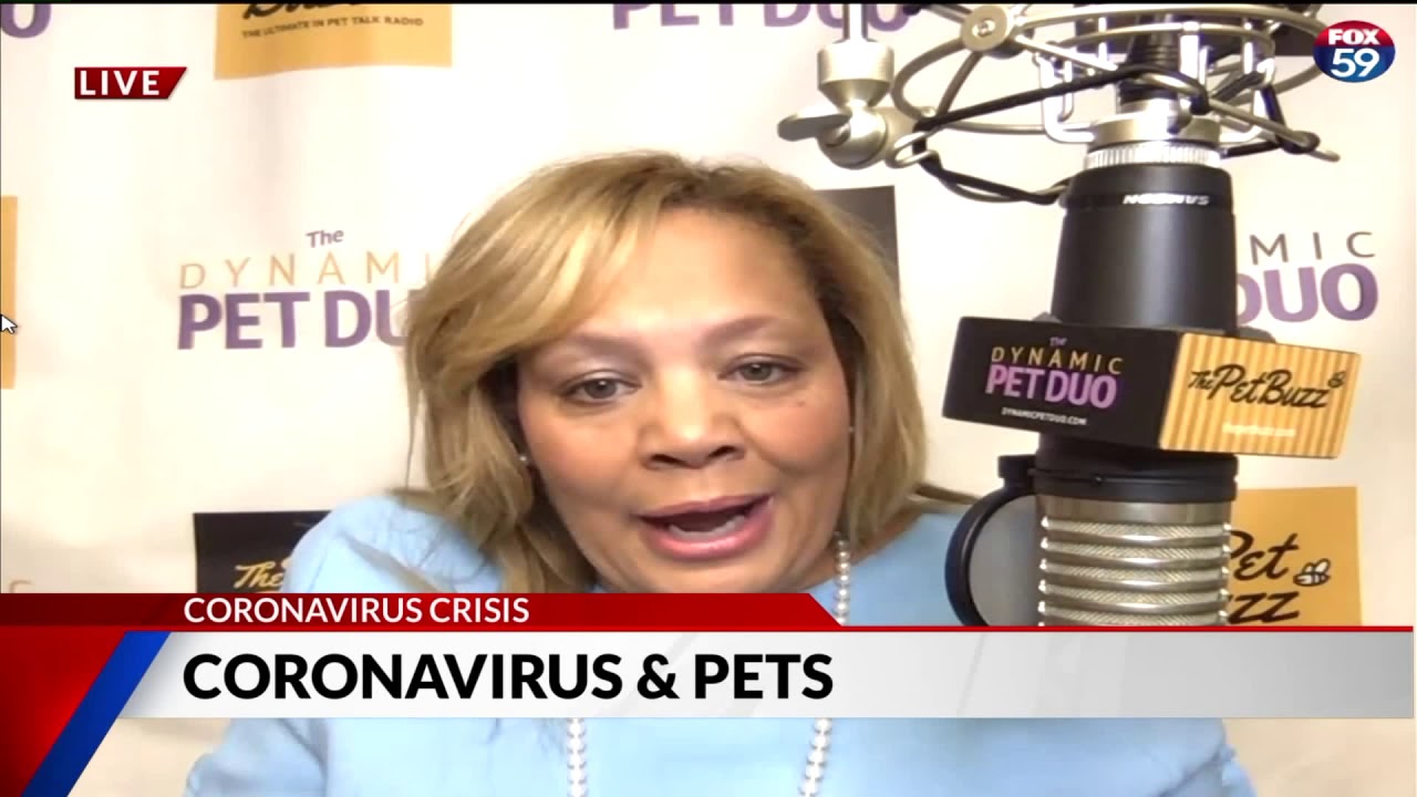 Pets and coronavirus thumbnail