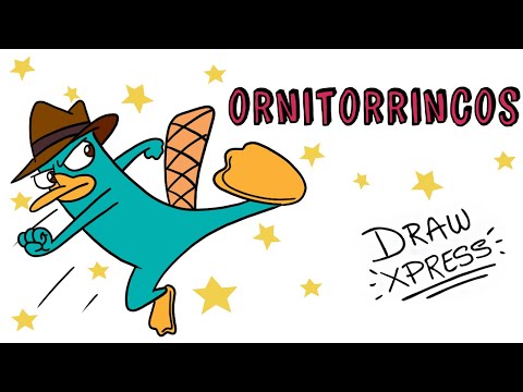 ¿SON VENENOSOS LOS ORNITORRINCOS? | Draw My Life