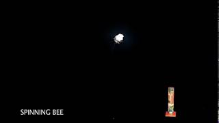 SPINNING BEE
