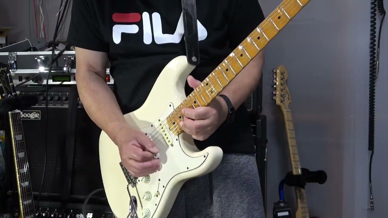 kissy's Guitar Collections】FenderJapan ST67-95改 1994 DiMarzio HS
