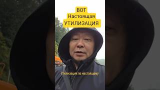 Вот  НАСТОЯЩАЯ УТИЛИЗАЦИЯ