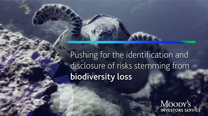 Action on environmental, social issues to rise to the fore | Moody’s ESG Outlook 2022