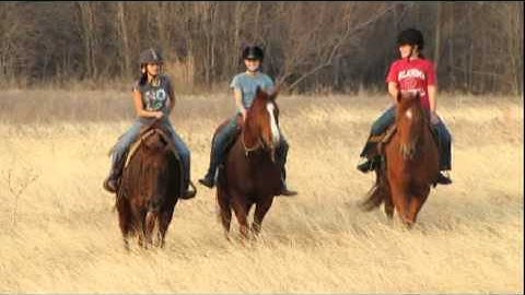 Valley View Ranch - Wil Mil Mate -   ***For info, price, etc., go to our website***