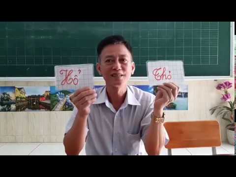 [Tiếng Việt - Lớp 2] Từ ngữ về muông thú. Đặt và trả lời câu hỏi Như thế nào? - Tuần 23