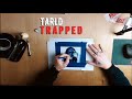 Tarld  trapped official