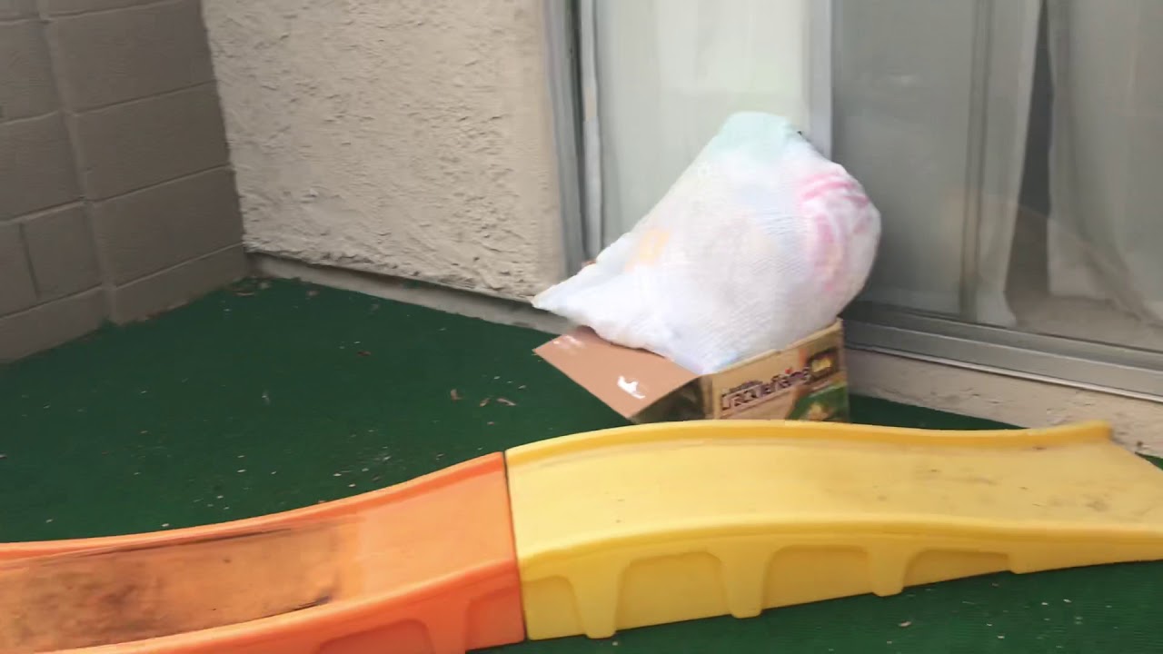 Tristan ninja warrior