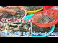 Chợ Long Hải thi&ecirc;n đường hải sản tươi sống gh&eacute; một lần cho biết 