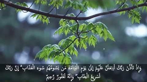 تلاوة هادئة من سورة الأعراف للقاريء ياسر ممدوح