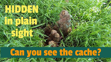 Hidden in Plain Sight, Can you see the Cache?