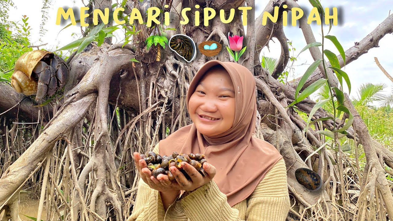 Berburu siput nipah 🏞️🐚🐌
