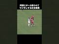 阿部海斗に取られてキレる杉本健勇 #shorts #rb大宮アルディージャ #jリーグ #サッカー
