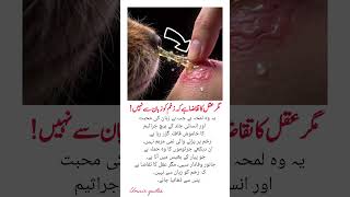 Charlie Chaplin Quotes That Will Open Your Eyes to a New Perspective