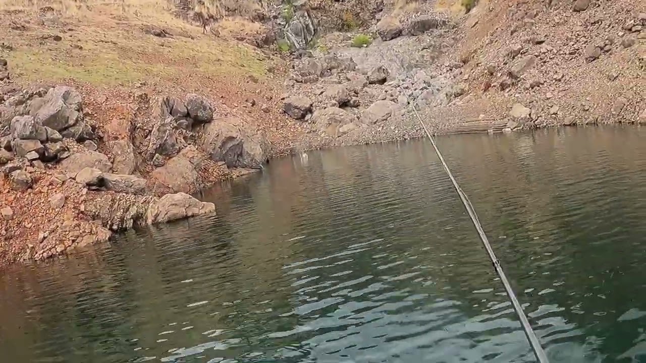 Success and Heartbreak on a glide bait