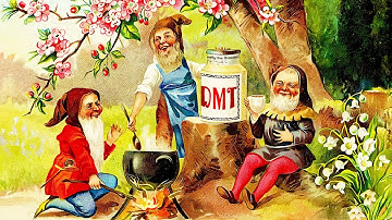 Why Neuroscience Can’t Ignore DMT Entities Anymore