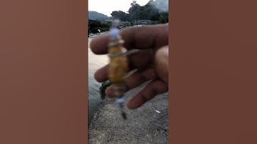 Cá mương va vào lưỡi câu của cần thủ sông đà #shorts