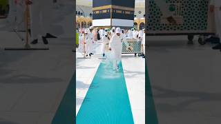 Masha,Allah makkah live madina live #makkah #madina #shorts #hajjlive #shortvideo #mecca