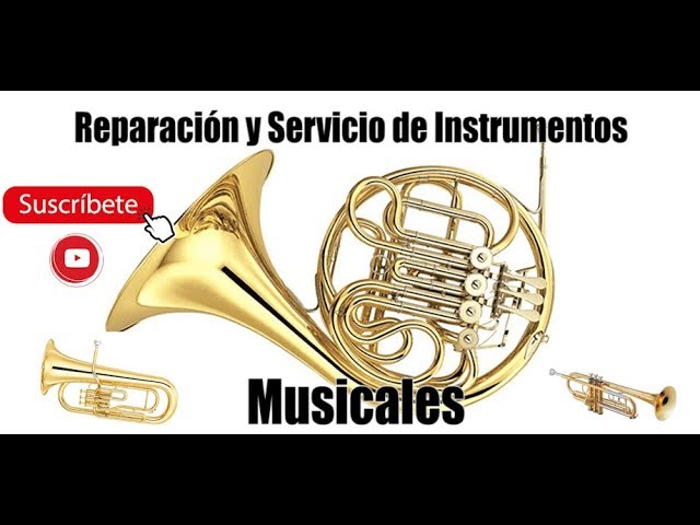 📯 Reparación y de Musicales 🎺 -