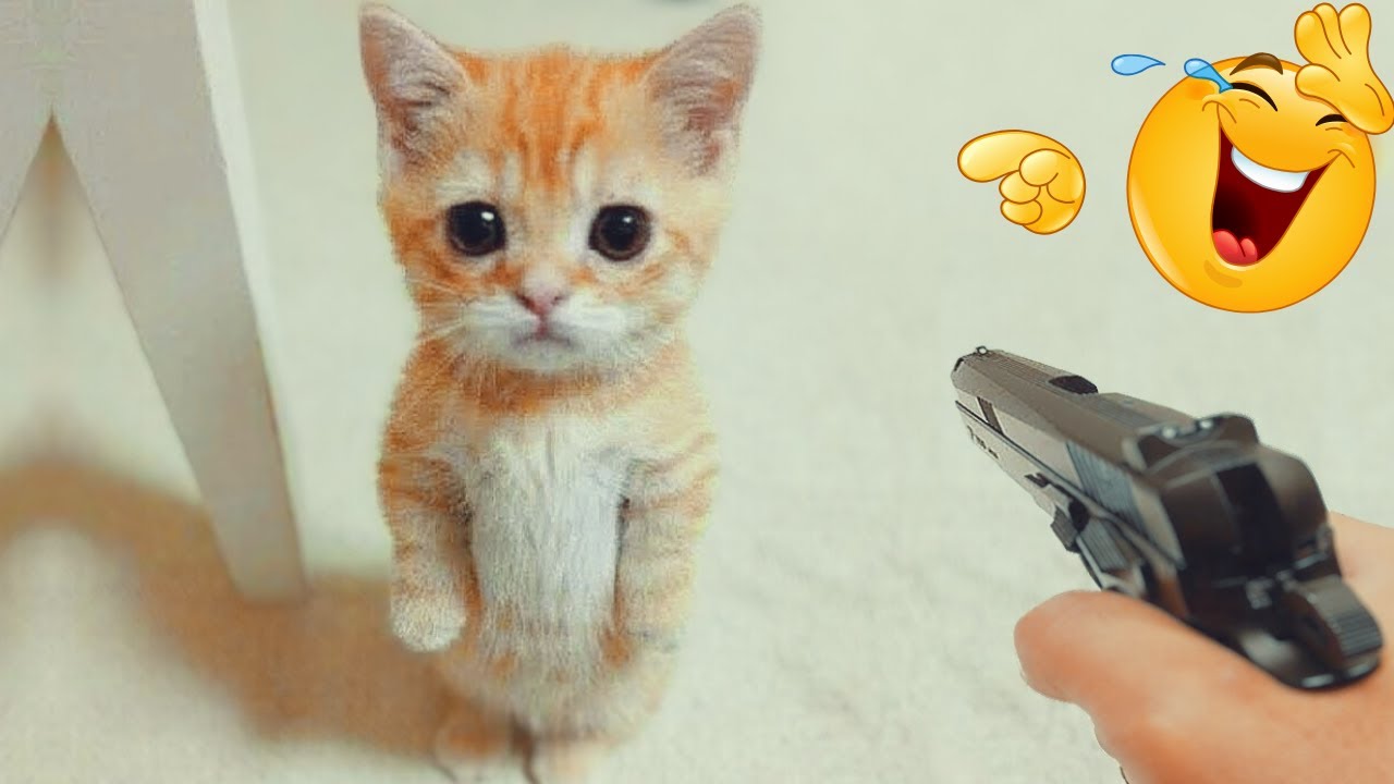 🤣💖 Cute & Dramatic Royal Pets 2025 — LOL Moments!