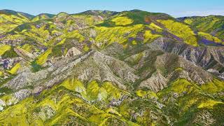California's Temblor Range | Macos Sonoma Live Wallpaper