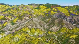 California's Temblor Range | MacOS Sonoma Live Wallpaper