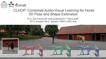 CLHOP: Combined Audio-Video Learning for Horse 3D Pose and Shape Estimation