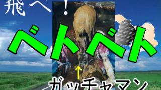 ガッチャマン替え歌2 Youtube ガッチャマン替え歌2 Youtube