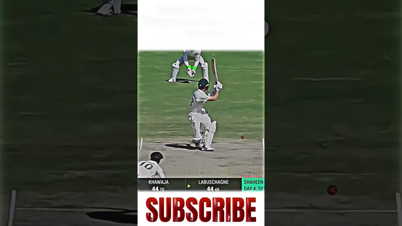 Shaheen Shah Afridi’s Unstoppable Wicket Magic! 💥🏏