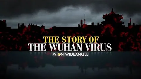 WION Wideangle: The story of the Wuhan Virus | WION News | COVID-19 Pandemic - DayDayNews