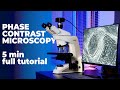 How to: Phase contrast microscopy. Microscope setup in 2026