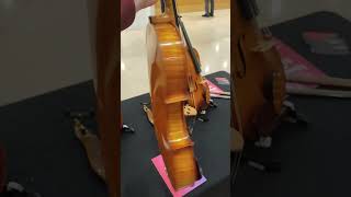A viola by Steve Fletcher - Maker of Violins, Violas and Cellos - BVMA Makers' day 2024 #shorts A viola by Steve Fletcher - Maker of Violins, Violas and Cellos - BVMA Makers' day 2024 #shorts