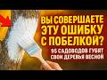 Вы совершаете ЭТУ ошибку с побелкой? 95% садоводов губят свои деревья весной.