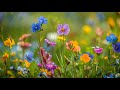 Dont think too much  great relaxing music to reduce stress escape mindfulness