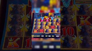 Botemania app