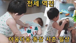 동갑 사촌 아기 일상, 싸움, 즐거움, 귀여운 개인기 배틀