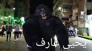 قنا تحتفل بالعيد