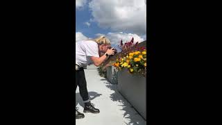 Experience Equine Week Internship Highlight With Sabrina Jacobs - Uk Ag Equine Programs