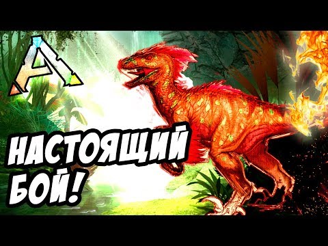 Он теперь настоящий хищник! Охота на Альфа Рапторов в АРК! - ARK: Survival Evolved