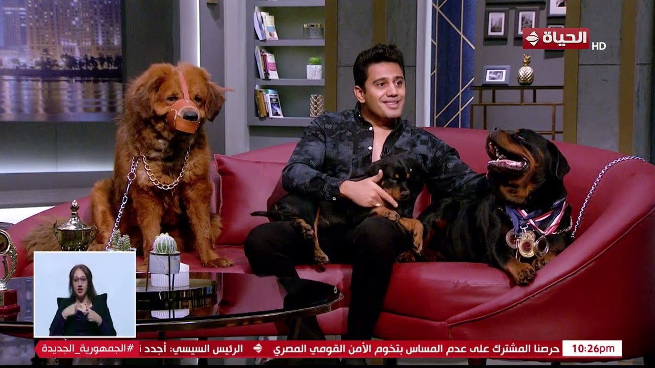 عمرو الليثي || برنامج واحد من الناس - الحلقة 397- الجزء 3