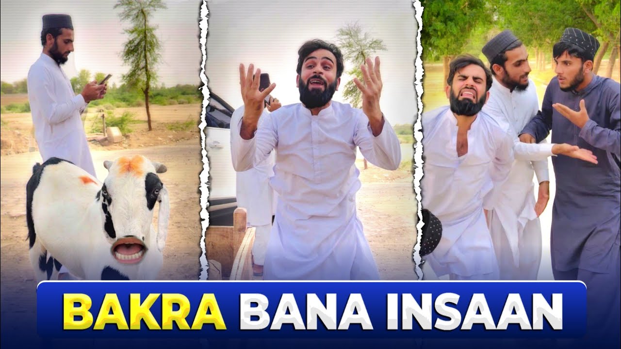 Qurbani Ka Bakra 🐐 Ban Gya Insan