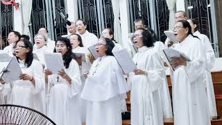 Video thumbnail of "Nữ Vương Thiên Đàng - Vũ Đình Ân - CĐ Alleluia"