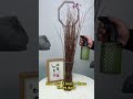 Snow willow #garden #plants #indoorgarden #indoorplants #homegarden #houseplants #flowers #willow