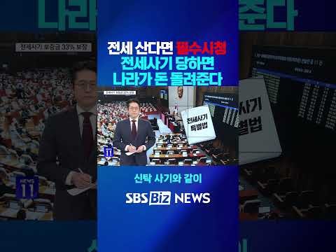 전세사기 당해도 보증금 3분의 1은 국가가 돌려준다 #전세사기 #전세 #경제뉴스 #sbsbiz #류선우기자