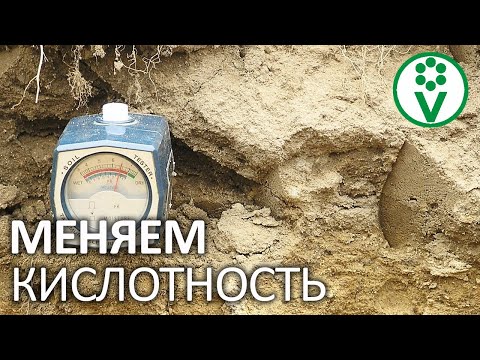 Видео: Торфяной мох щелочной или кислый?