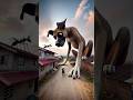 💥 Evolution of Dog : Giant Dog ✅️ #doglover #puppy #dog #shorts #copydoggy
