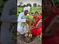 गांव की खेती का अनोखा कमाल! एक ही पौधे में टमाटर और आलू 😱🌱#Village #DesiFarming #Kisan #keramjivlog