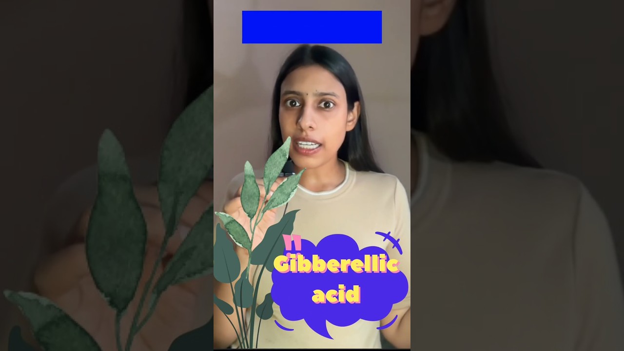 Gibberellic Acid (GA₃) – Functions & Uses 🌱 | NEET Biology #Shorts