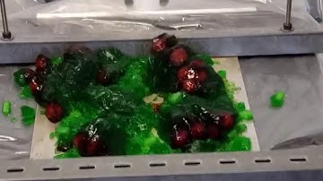 SIGMADESIGN - Vibration Test System - Jell-O (2018)