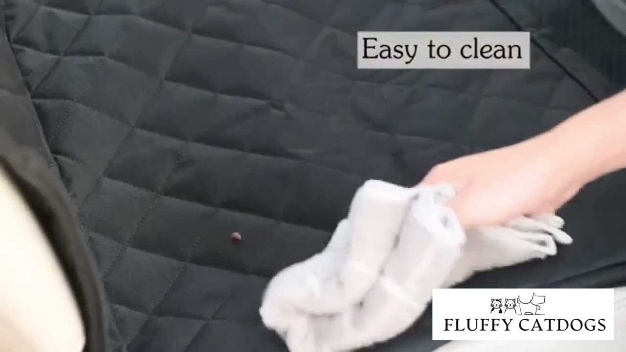 How to install you waterproof pet seat cover - Fluffy Catdogs