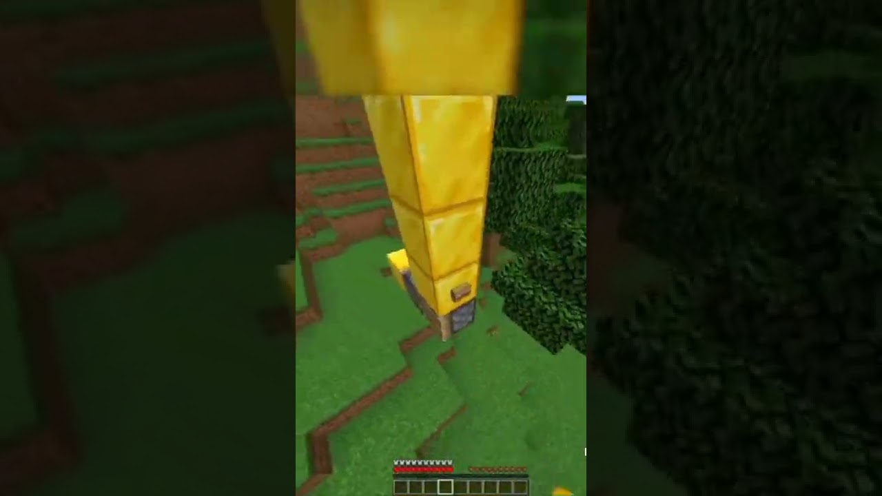 When Dream misses the Bus!! 