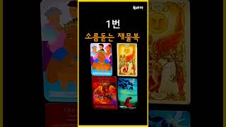 [타로] 소름돋게 정확한 금전운